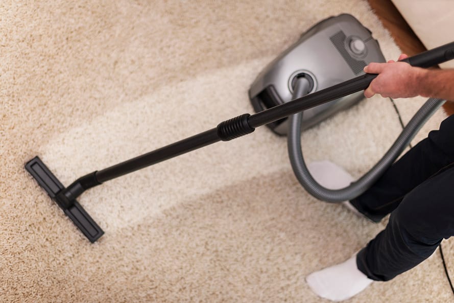 Vacuuming Pet Carpet